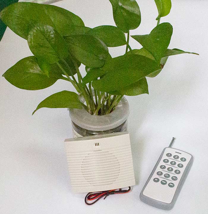 无线？毓婊